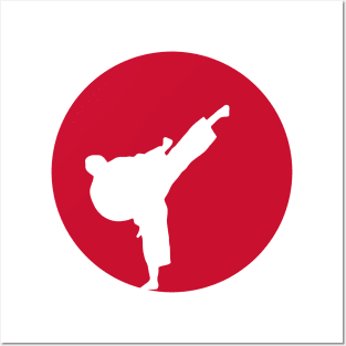 Kung Fu Japan Flag Posters and Art